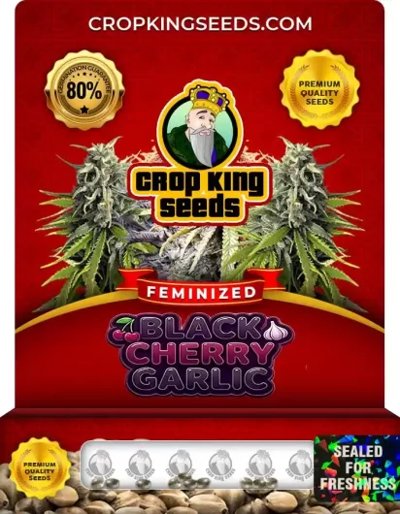 Black Cherry Garlic