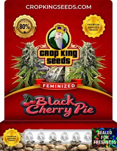 Black Cherry Pie