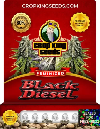 black-diesel-image