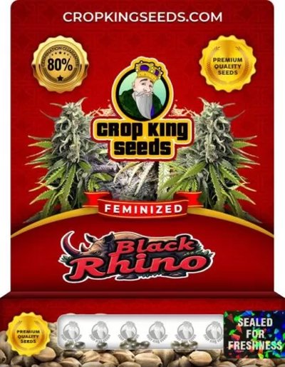Black Rhino
