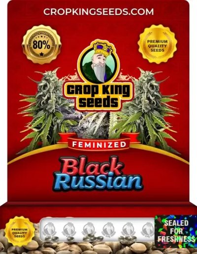 Black Russian