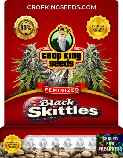 black-skittles-image