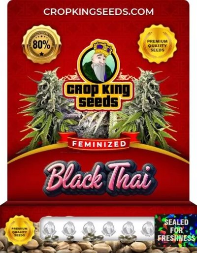 Black Thai