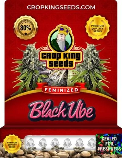 Black Ube