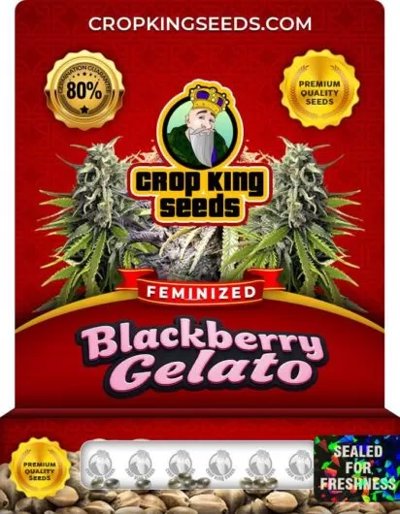 Blackberry Gelato