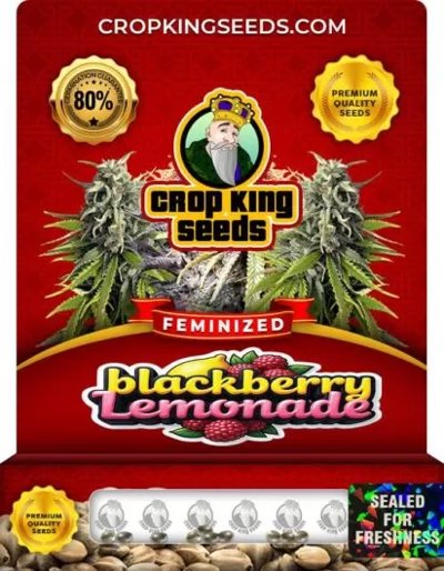 Blackberry Lemonade