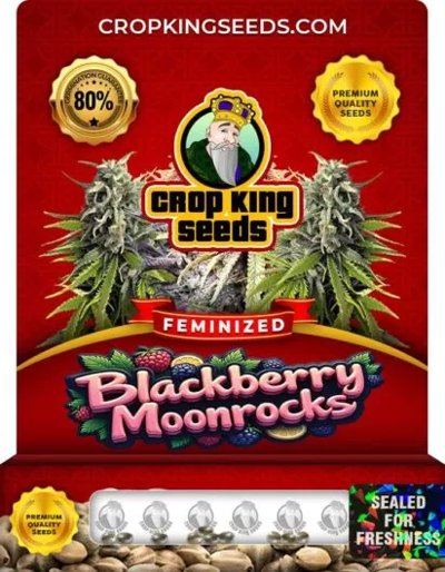 Blackberry Moonrocks