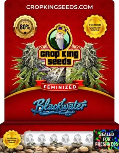 Blackwater