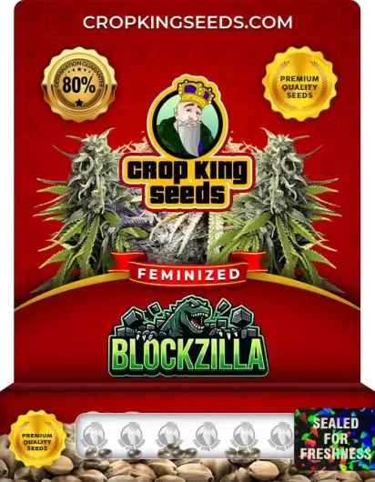 blockzilla-image