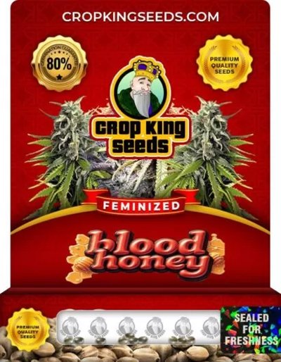 Blood Honey