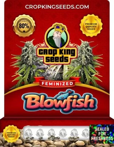Blowfish