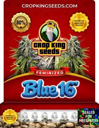 Blue 16