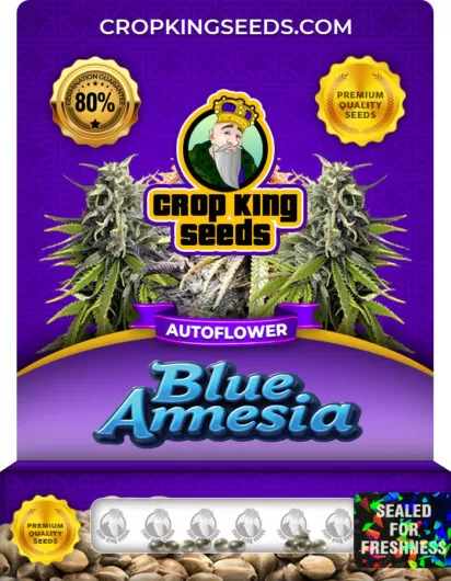 blue-amnesia-autoflowering-image