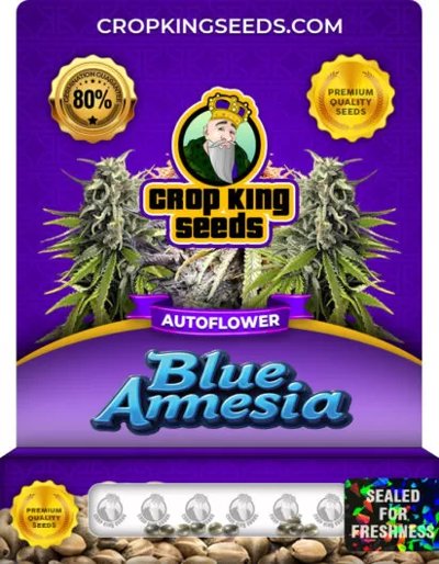 Blue Amnesia Autoflowering