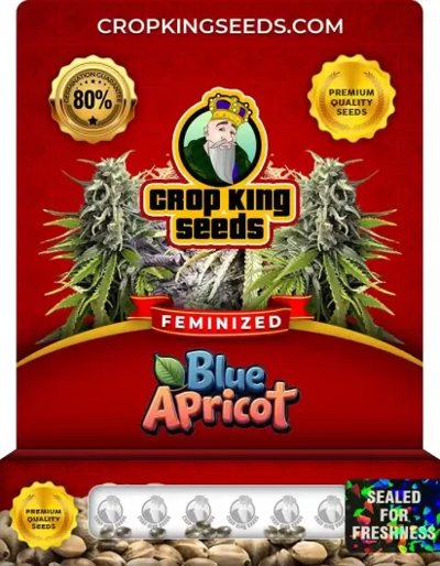 Blue Apricot