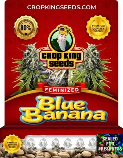 Blue Banana