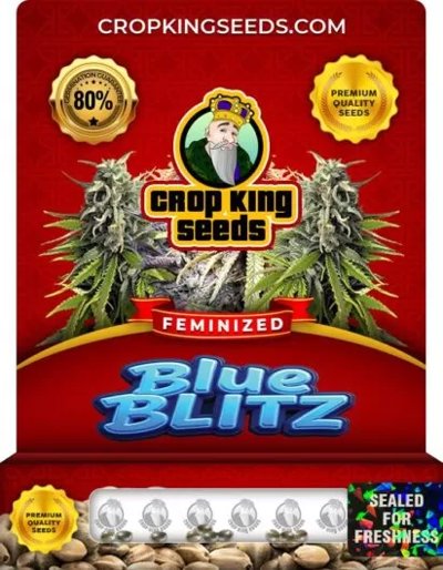 Blue Blitz
