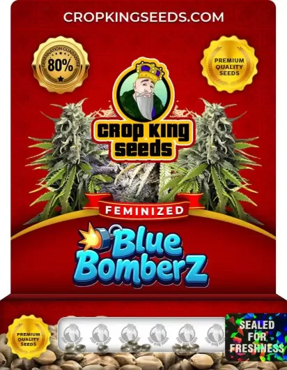 blue-bomberz-image