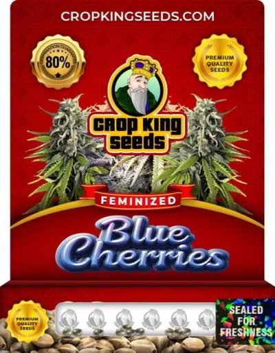 Blue Cherries