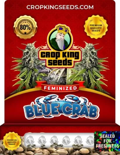 blue-crab-image