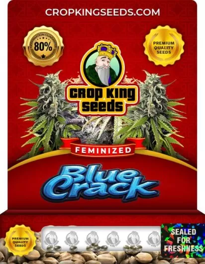 blue-crack-image
