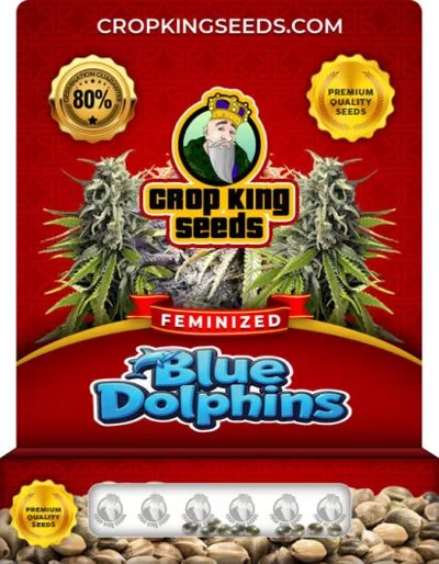 Blue Dolphin