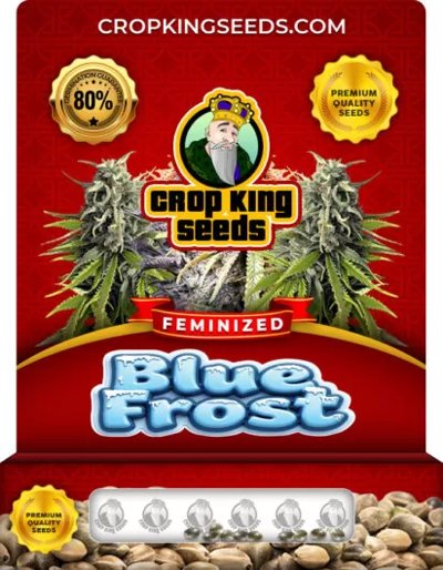Blue Frost