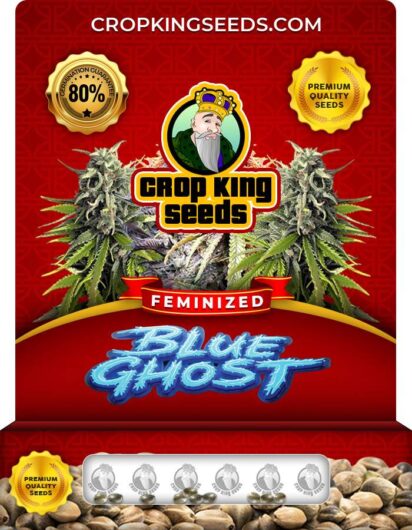blue-ghost-image