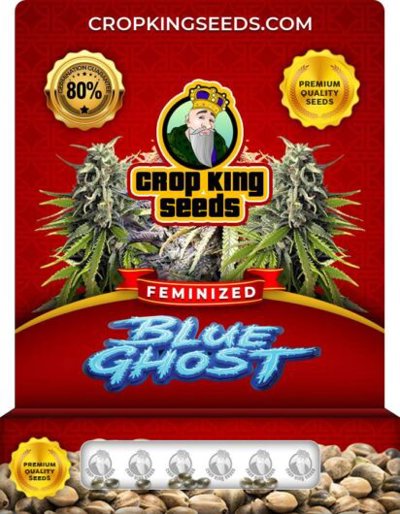 Blue Ghost