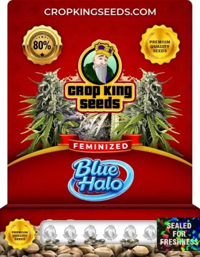 Blue Halo