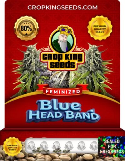 Blue Head Band