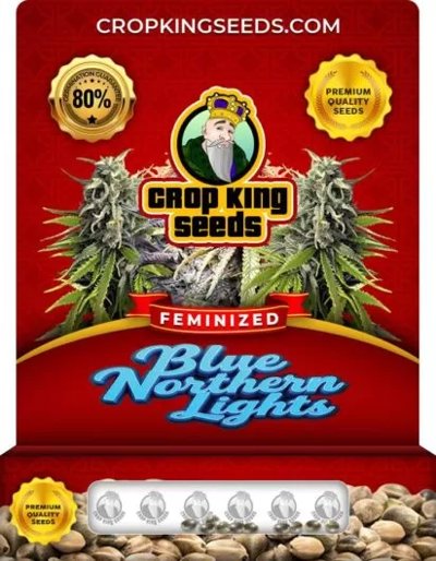 Blue Northern Lights