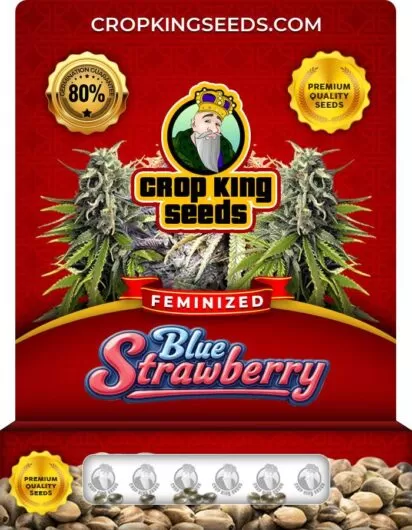 blue-strawberry-image