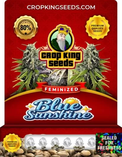 blue-sunshine-image