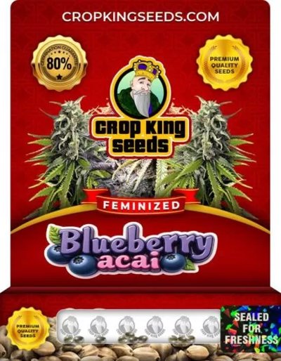 Blueberry Acai