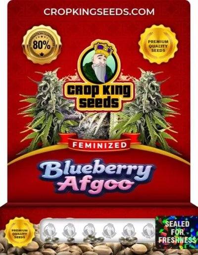 Blueberry Afgoo