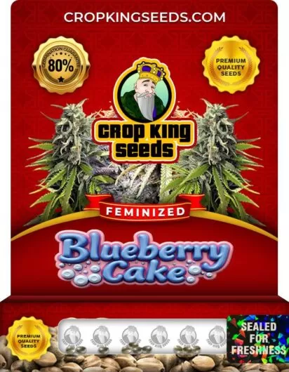 blueberry-cake-image