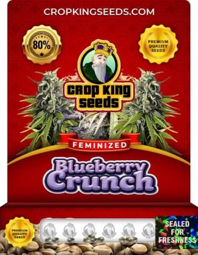 Blueberry Crunch