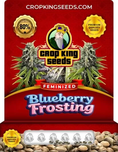 blueberry-frosting-image