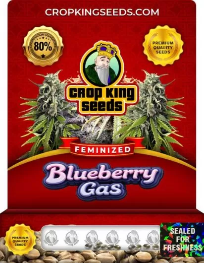 blueberry-gas-image