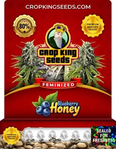 Blueberry Honey