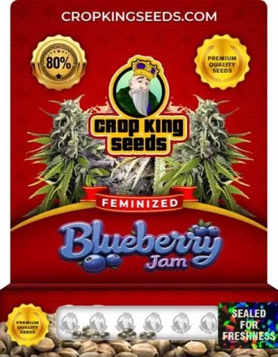 Blueberry Jam