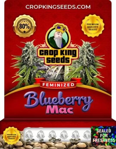 Blueberry Mac