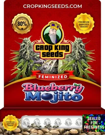 blueberry-mojito-image