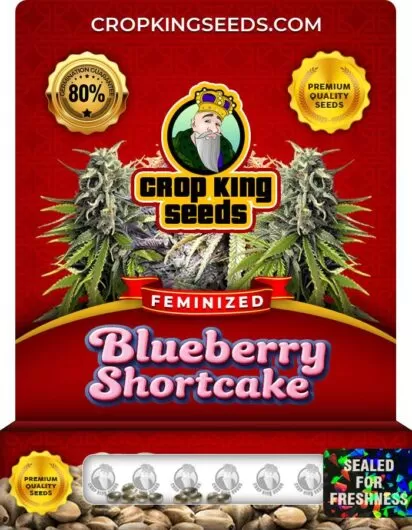blueberry-shortcake-image