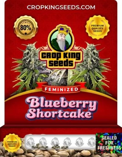 Blueberry Shortcake