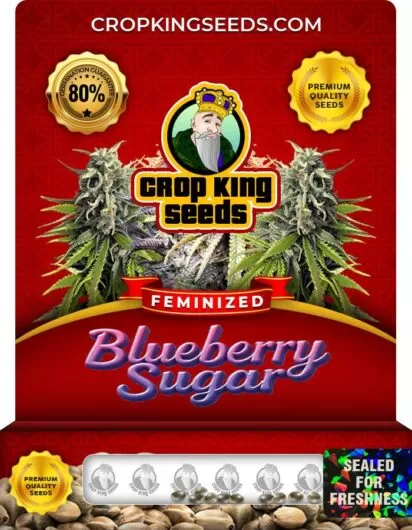 blueberry-sugar-image