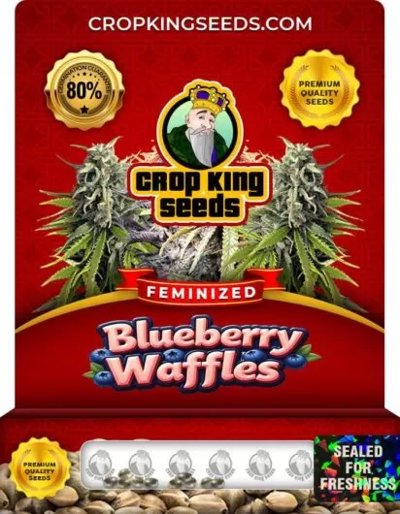Blueberry Waffles