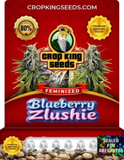 Blueberry Zlushie