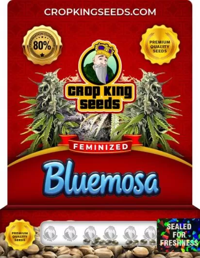 bluemosa-image